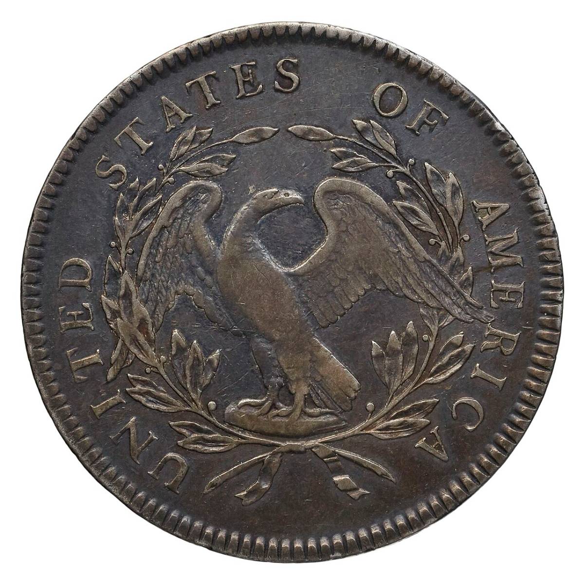 This is a different 1795 Flowing Hair dollar coin - the reverse side.