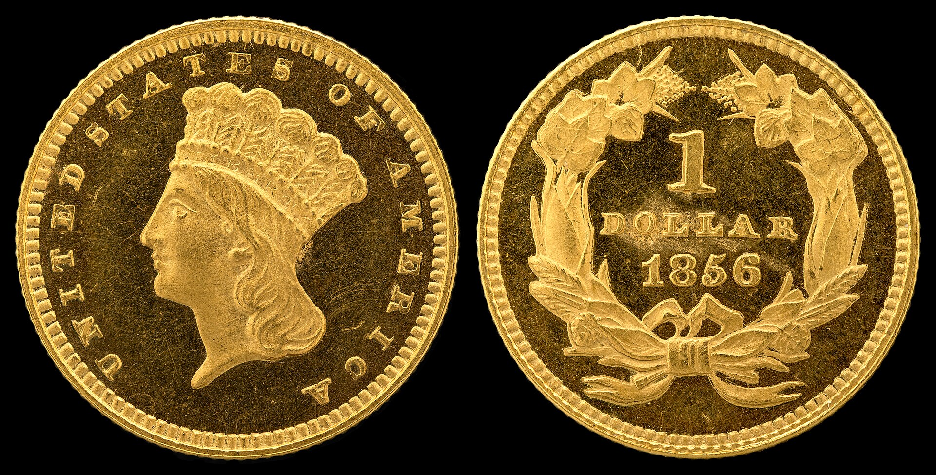 This is the TYPE 3 large Indian Head gold dollar coin. 