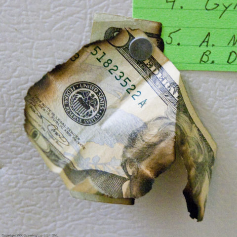 Paper money that's been damaged by fire. photo by seeminglee on Flickr Paper money that's been damaged by fire.