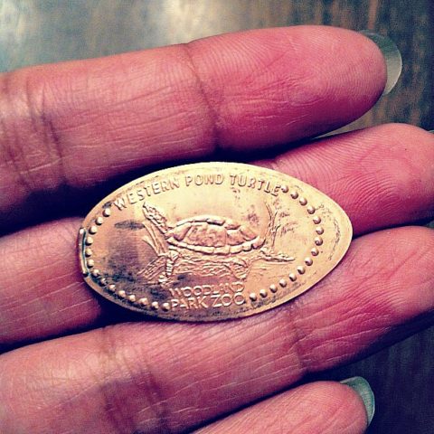 You can get money for pressed pennies from the US Mint, but you might get more money from a collector. photo by lovelihood on Flickr You can get money for pressed pennies from the US Mint, but you might get more money from a collector.