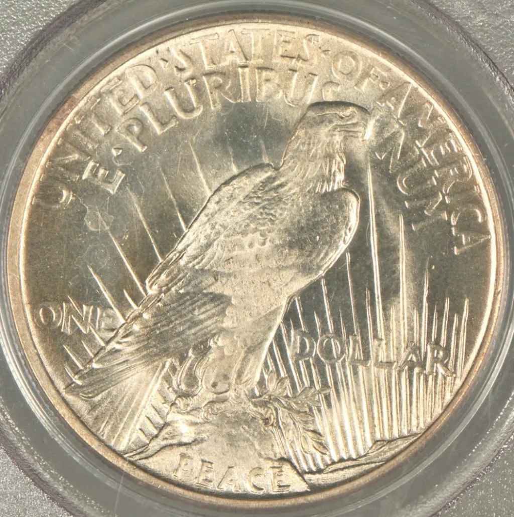 This is the reverse (tails side) of a Peace silver dollar. Photo by NorthernLightsNumismatics on Flickr This is the reverse (tails side) of a Peace silver dollar.