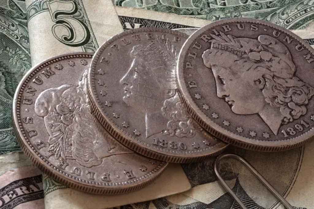 Silver Dollars