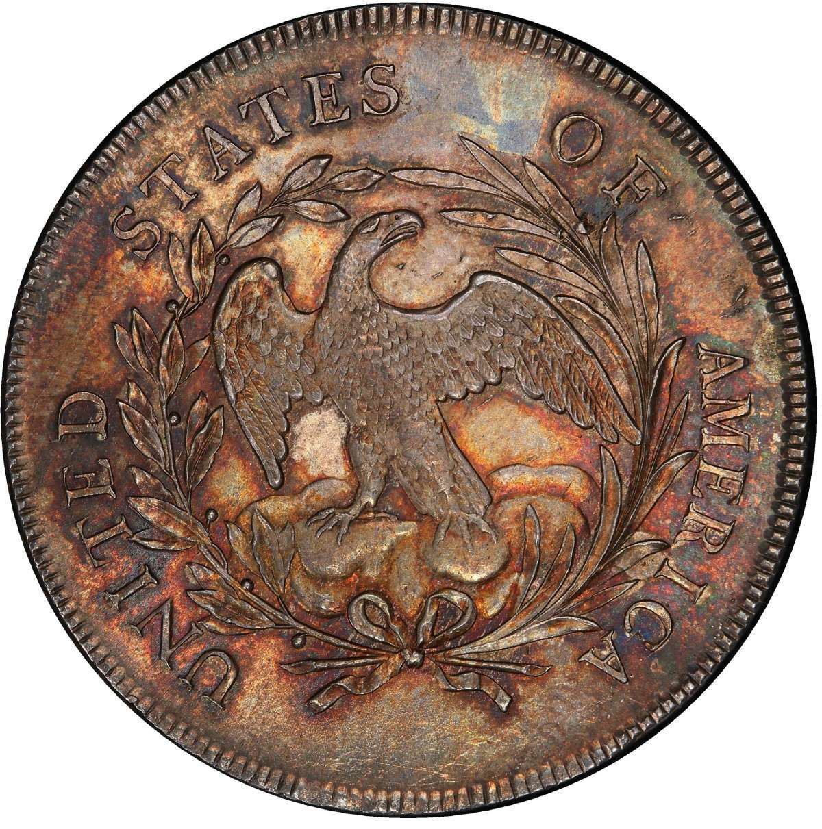 1795 Draped Bust dollar coin reverse.