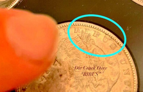 The circled area on this coin highlights a die break (or die crack)