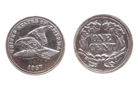 A closeup of the 1957 Flying Eagle penny. Notice how white in color it looks? A closeup of the 1957 Flying Eagle penny. Notice how white in color it looks?