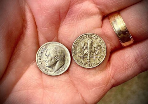 If you look closely, you can see that there is a "P" mintmark on this 1988 dime. See which mintmarks add value on 1988 dimes and what those mintmarks mean. 