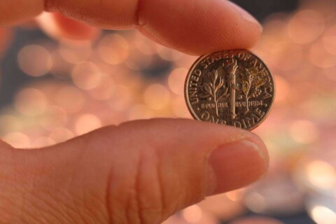 Notice the flaming torch on the back of your 1988 dime? Do you also notice the 2 horizontal cross bands (one near the top and the other near the bottom)? If the horizontal line inside each of those bands is complete from side to side without interruption, then your 1988 dime could have Full Bands details -- making your dime worth a lot of money! 
